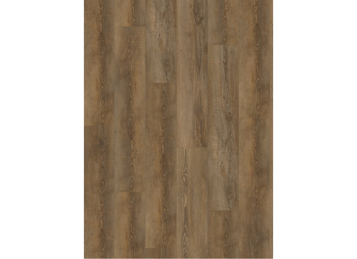 City 4604 (dryback) Olympia Pine Natural