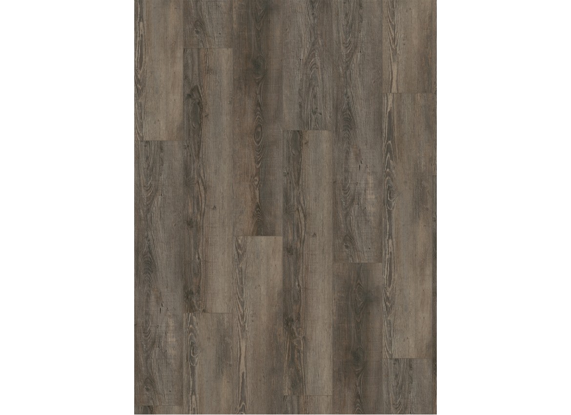 City 4605 (dryback) Olympia Pine Brown