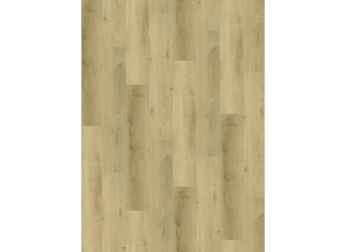 Country 4304  Prestige Oak Light